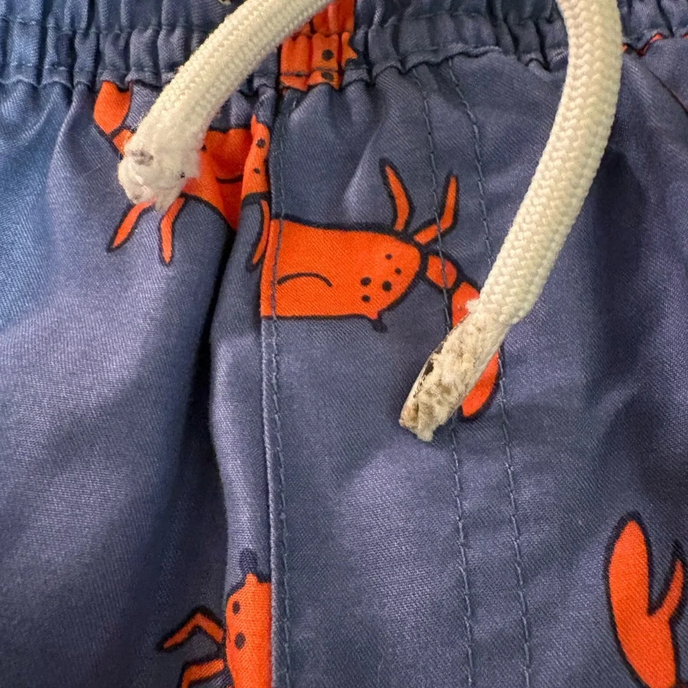 Carters carter dinosaur